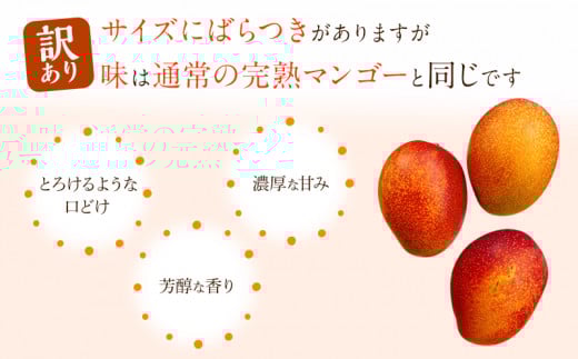 《2026年発送先行予約》【数量・期間限定】【訳あり】 完熟マンゴー 合計約1kg (2～3玉) 完熟 濃厚 訳あり