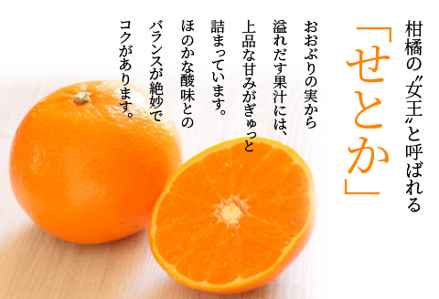 宮崎市清武町産「せとか」加工品セット（6種類）