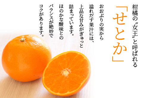 【期間・数量限定】宮崎市清武町産「せとか」15個入り（約3kg）