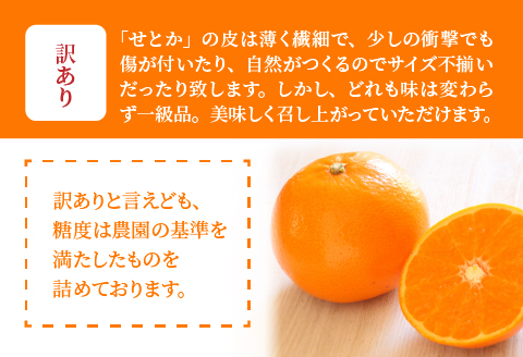 【期間・数量限定】宮崎市清武町産「せとか」訳あり（20～23個入）（約5kg）