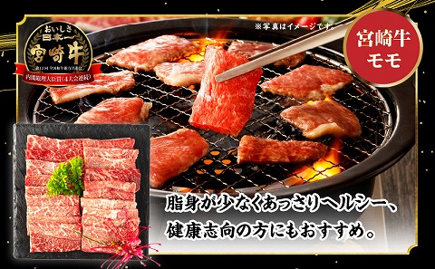 宮崎牛 モモ ウデ 焼肉 セット 各400g 合計800g