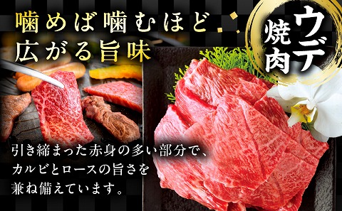 宮崎牛ウデ焼肉400g 宮崎県産黒毛和牛こま切れ100g