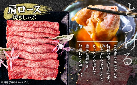 宮崎牛肩ロース焼きしゃぶ300g 宮崎牛ウデ焼肉400g