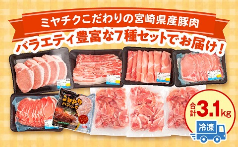 宮崎県産豚 バラエティセット 7種 合計3.1kg
