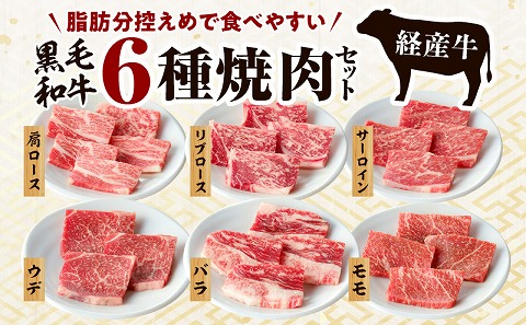 黒毛和牛（経産牛）6種焼肉セット300g × 2（計600g）