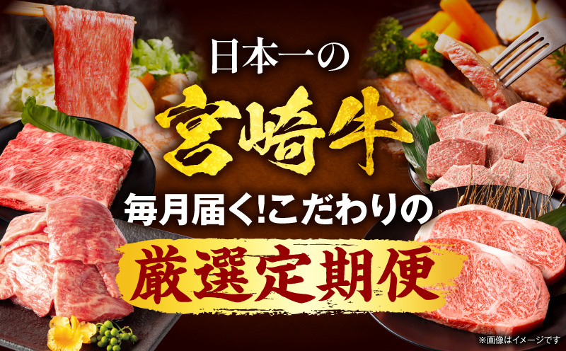 【全12回定期便】宮崎牛プレミアムセレクション 肩ロース ロースステーキ 焼肉