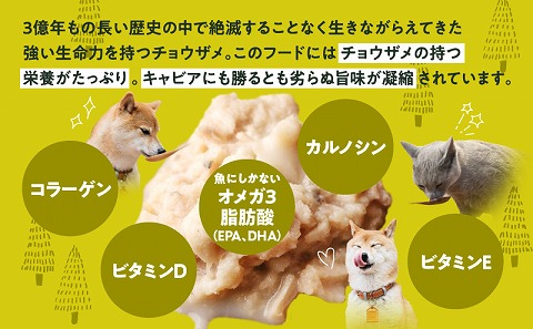 宮崎 -森のチョウザメ-sustainable PET FOOD