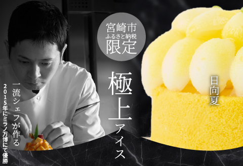 《先行予約》2023年9月発送【江森宏之シェフ作】宮崎市産日向夏のアイスケーキ 期間・数量限定