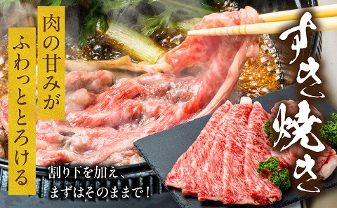 宮崎牛ロースすき焼き＆ロースしゃぶしゃぶ用 合計800g |牛肉 牛 肉 ロース すき焼き すきやき しゃぶしゃぶ
