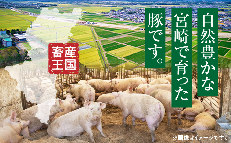 宮崎県産豚肉肩ローススライス 合計2.4kg