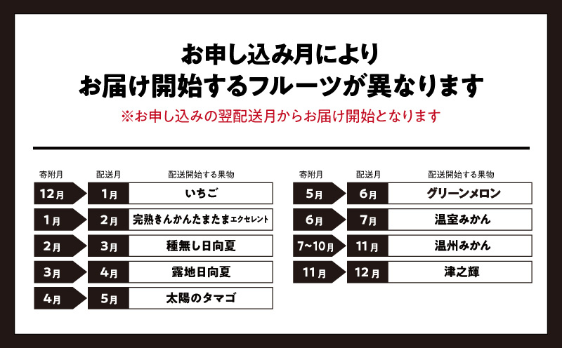 青果店厳選！「くだもの定期便Vol.3」（全9回） いちご きんかん 日向夏 マンゴー メロン みかん 津之輝