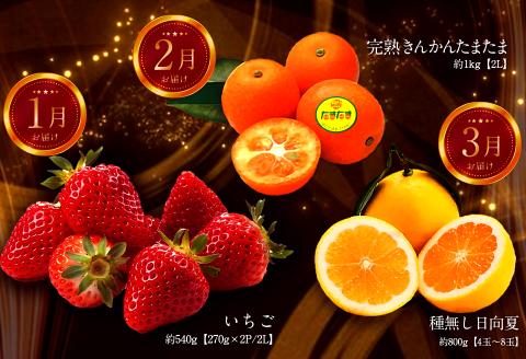 《2026年発送先行予約》【数量・期間限定】青果店厳選！「3ヶ月お届け！くだもの定期便Vol.2」 青果物 果物 フルーツ