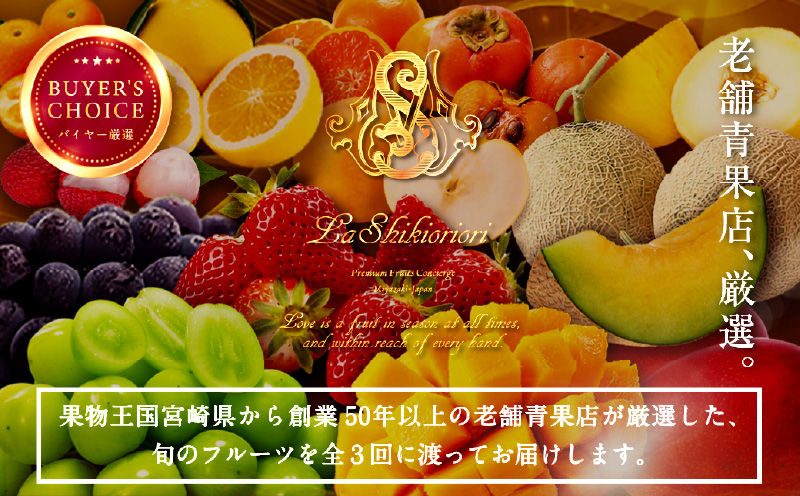 《2026年発送先行予約》【数量・期間限定】青果店厳選！「3ヶ月お届け！くだもの定期便Vol.3」 くだもの 果物 フルーツ いちご きんかん 日向夏