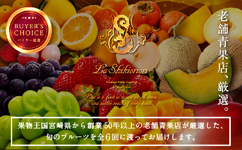 《2026年発送先行予約》【数量・期間限定】青果店厳選！「6ヶ月お届け！くだもの定期便Vol.2」 フルーツ 旬 定期便 いちご きんかん 日向夏 マンゴー メロン