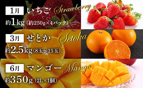 「人気くだもの定期便」全5回