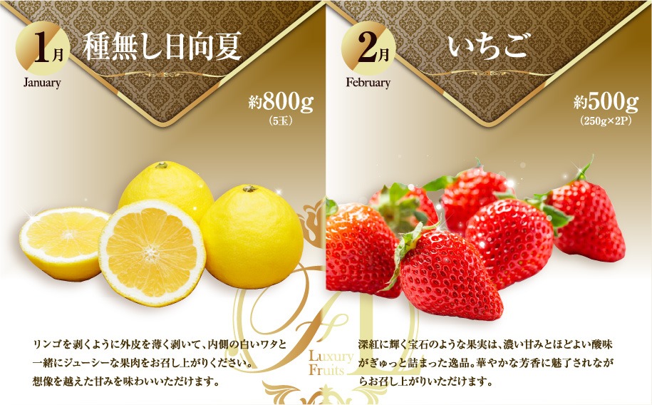 《2026年発送先行予約》【数量・期間限定】旬のくだもの食べきり定期便 青果物 果物 フルーツ