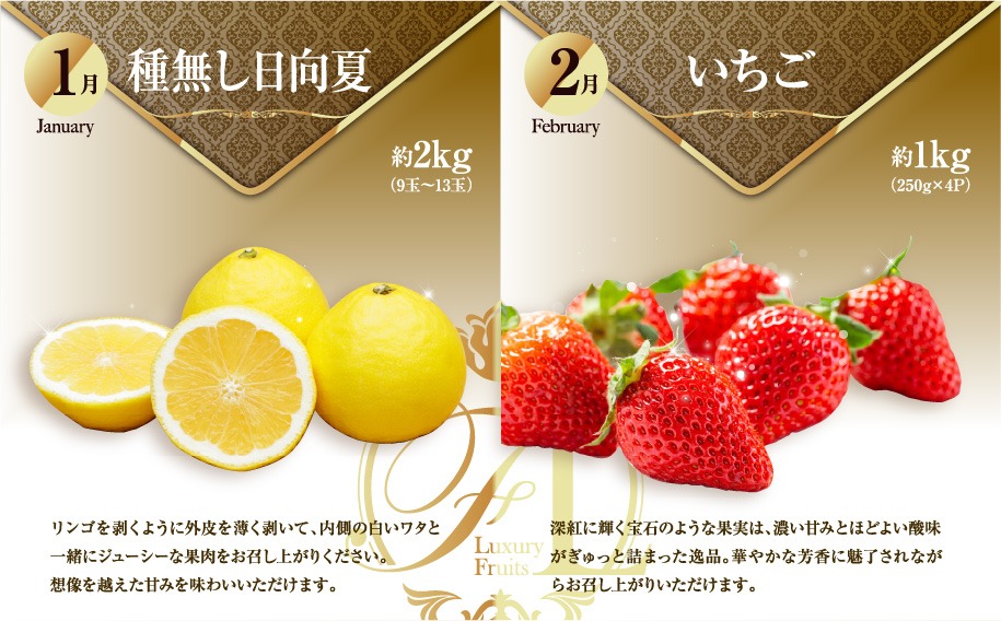 《2026年発送先行予約》【数量・期間限定】旬のくだもの定期便【全6回】 青果物 果物 フルーツ