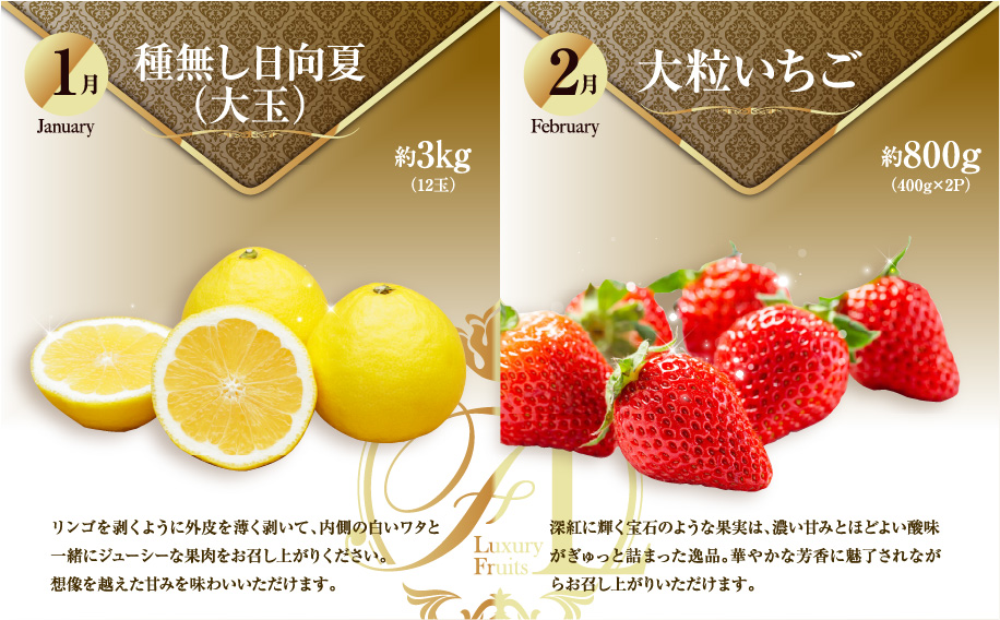 《2026年発送先行予約》【数量・期間限定】旬のくだもの【極】定期便【全6回】 青果物 果物 フルーツ