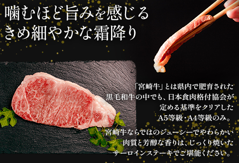 宮崎県産 宮崎牛 サーロインステーキ 400g（200ｇ×2）