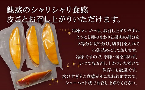 《2025年発送先行予約》【期間・数量限定】おがたのマンゴー 宮崎完熟冷凍マンゴー 1玉分(600g以上) 贈答品 小分けパック