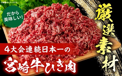 宮崎牛餃子セット　12個入り/5パックセット　合計60個 |牛肉 牛 肉 餃子