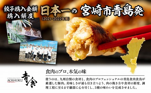 【定期便 全2回】金豚餃子セット（香港餃子・しそ餃子・にら餃子　1パック10個入×各2パック）