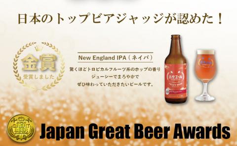 青空エールこだわりのクラフトビール飲み比べ詰め合わせセット〈フルーツビール入り〉6種×6本（330ml瓶×6本）|フルーツ ビール