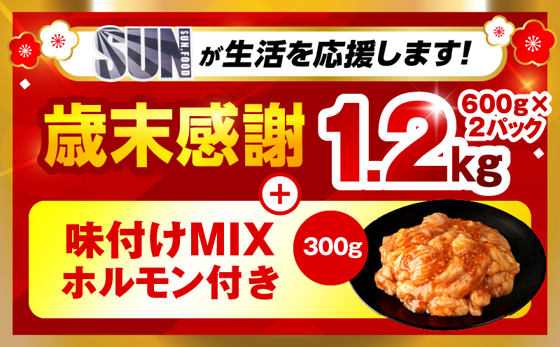 【歳末感謝】【数量・期間限定】《訳あり》厚切り 牛タン 塩味 計1.2kg 味付けMIXホルモン付き 牛肉 肉 精肉 味付き タン タン塩 塩タン 不揃い 規格外 小分け パック 簡単調理 焼くだけ キャンプ 焼肉 厚切り牛タン グルメ お取り寄せ 宮崎県 宮崎市