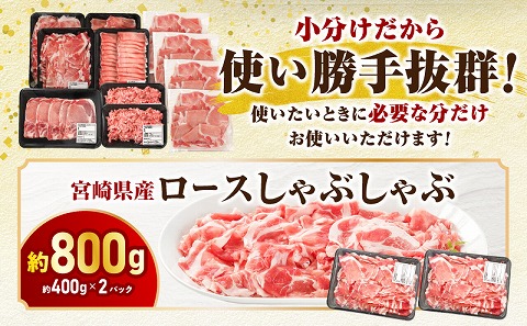 宮崎県産豚肉セット