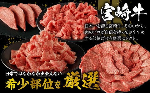 宮崎牛厳選部位食べ尽くしセット