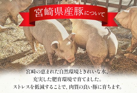 宮崎県産豚スライスセット　合計4kg |豚肉 豚 ぶた 肉 国産 豚ウデ モモ スライス 豚スライスセット 4kg