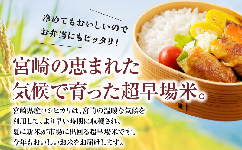 《令和7年産》宮崎県産コシヒカリ 合計20kg(5kg×4袋) コシヒカリ 宮崎県産 超早場米 早場米 精米 白米 お米 米 ごはん 主食 炭水化物