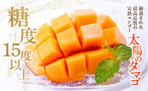 《2026年発送先行予約》【数量・期間限定】宮崎県産 太陽のタマゴ 1玉