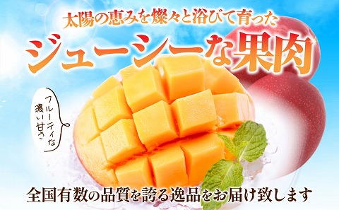 《2026年発送先行予約》【数量・期間限定】宮崎県産完熟マンゴー 2Lサイズ 2玉 果実 完熟 フルーツ