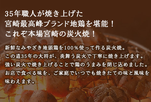 みやざき 地頭鶏 炭火焼セットA (もも炭火焼165g/むね炭火焼165g) |鶏肉 鶏 鳥肉 鳥 肉 国産 みやざき地頭鶏 もも炭火焼 むね炭火焼