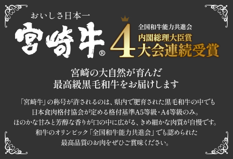 《数量限定》宮崎牛ヒレ 合計約200g (100g×2)