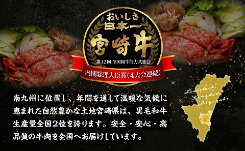 宮崎牛サーロイン2mmスライスしゃぶしゃぶ用 合計500g