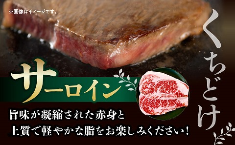 宮崎ハーブ牛サーロインステーキ 合計600g