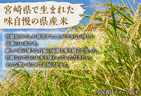 期間・数量限定 令和5年産 宮崎県産米 夏の笑み 5kg×2 合計10kg