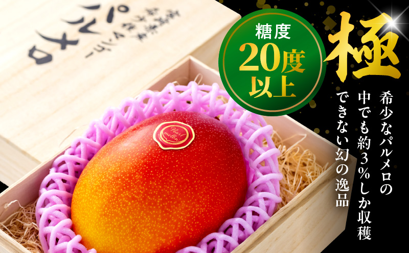 《2026年発送先行予約》【期間・数量限定】宮崎県産 希少種マンゴー (極)パルメロ 650g以上 糖度20度以上 1玉入り マンゴー 宮崎マンゴー 完熟マンゴー