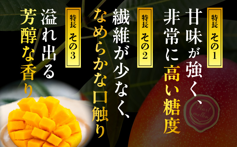 《2026年発送先行予約》【期間・数量限定】宮崎県産希少種マンゴーパルメロ　計576g以上　1玉入り 希少種 マンゴー 完熟マンゴー 