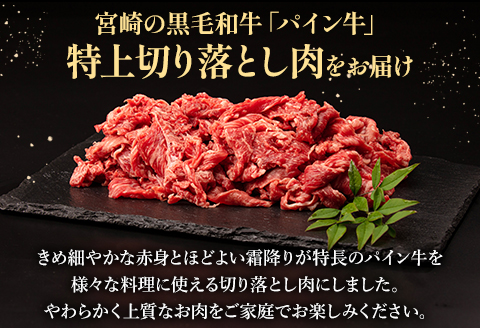 宮崎県産 黒毛和牛 パイン牛 特上 切り落とし肉 (肩・肩ロース) 計1kg (500g×2)