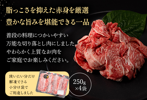 宮崎県産 黒毛和牛 パイン牛 赤身 切り落とし (モモウデ) 250g×4袋 合計1kg