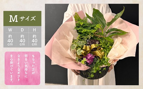 観葉植物 カゴ盛り Mサイズ