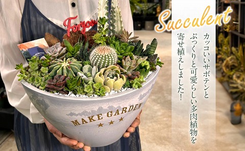 多肉植物の寄せ植え　Lサイズ