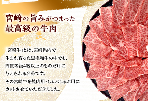 宮崎牛カルビ焼肉・モモスライスセット 計800g 肉 牛 牛肉