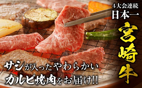 宮崎牛 カルビ焼肉 500g 牛肉 牛 肉 カルビ 焼肉 焼き肉 やき肉 ヤキ肉