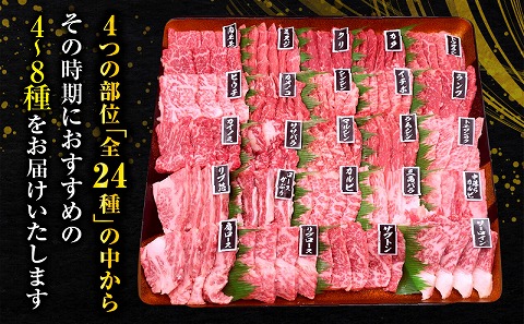宮崎牛焼肉食べ比べ4種～8種盛り 合計800g 焼肉 最高級 ブランド