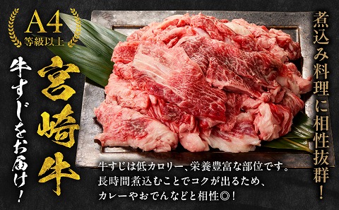  宮崎牛 牛すじ 2kg
