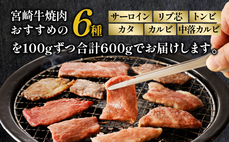 宮崎牛 焼肉食べ比べ6種盛 600g 焼き肉 バーベキュー 霜降り